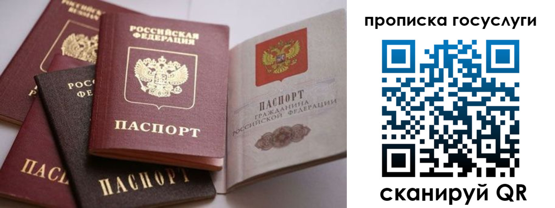 прописка штамп в Химках